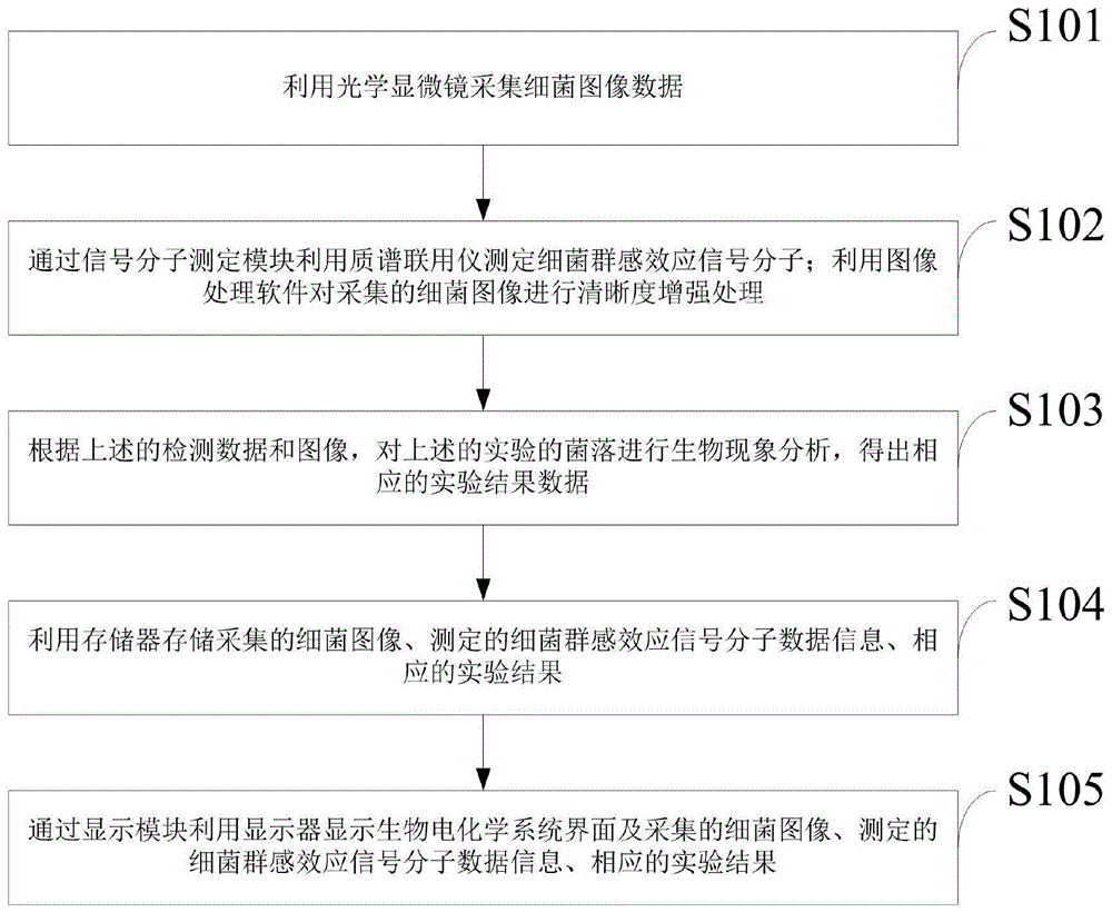 一种基于群感效应的微生物燃料电池系统开发方法与流程