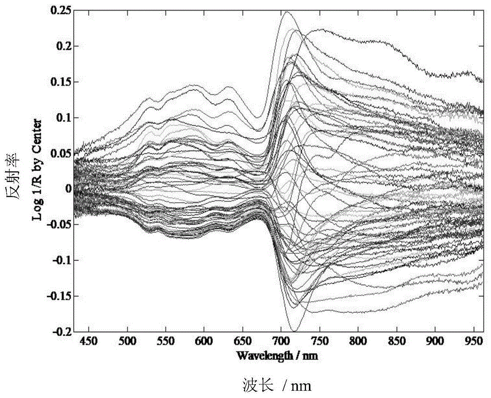 一种用于茶叶外形品质检测的高光谱特征波段优化方法与流程