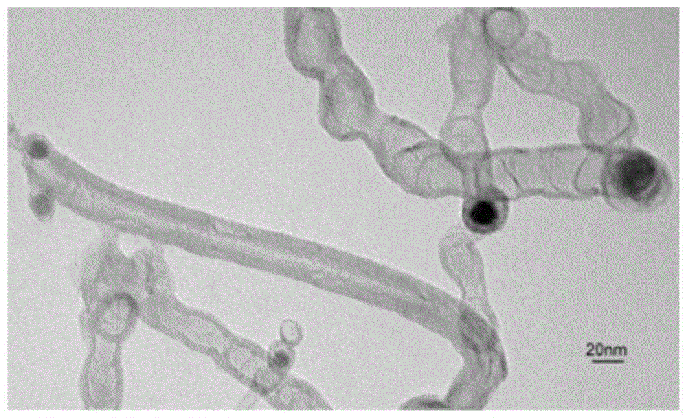 一种氮掺杂碳纳米管氧还原电催化剂及其制备方法与流程
