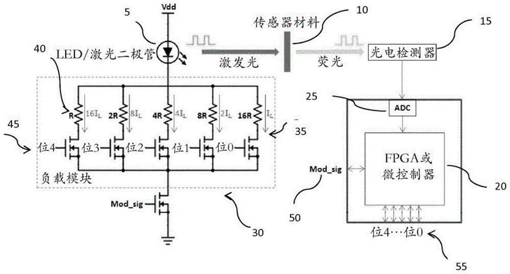 荧光感测系统的制作方法