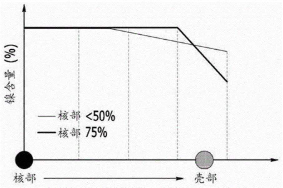 正极活性物质前体及其制备方法、正极活性物质及其制备方法以及包括所述正极活性物质的锂二次电池与流程