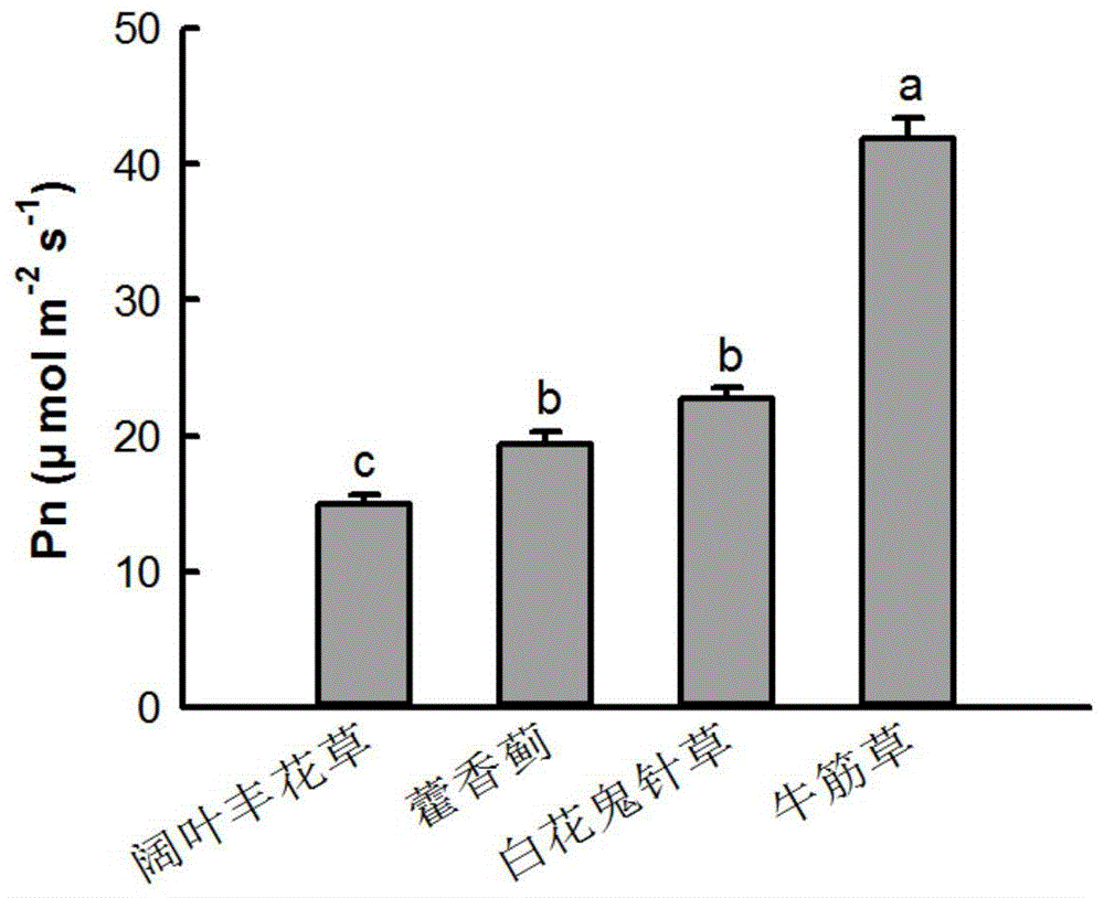 一种华南果园杂草管理控制的方法与流程