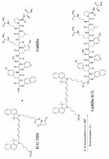 一种靶向GnRH受体的近红外荧光成像探针及其制备方法与应用与流程