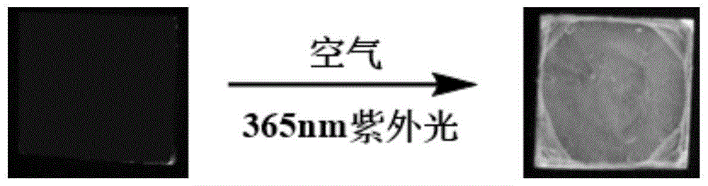 一种光致发光材料及其制备方法与应用与流程