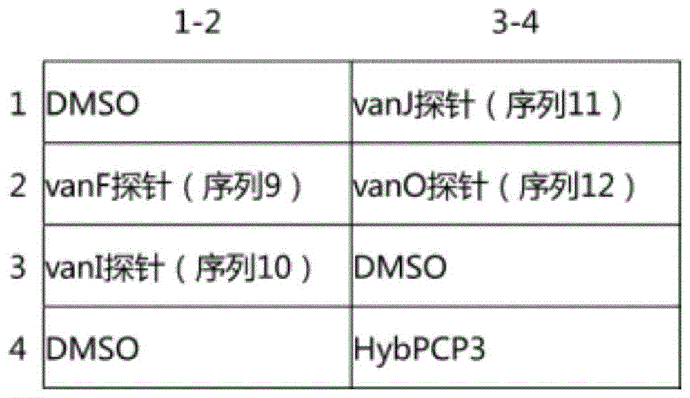 检测革兰氏阳性细菌中四种糖肽类药物耐药基因的特异性引物和探针组合及应用的制作方法