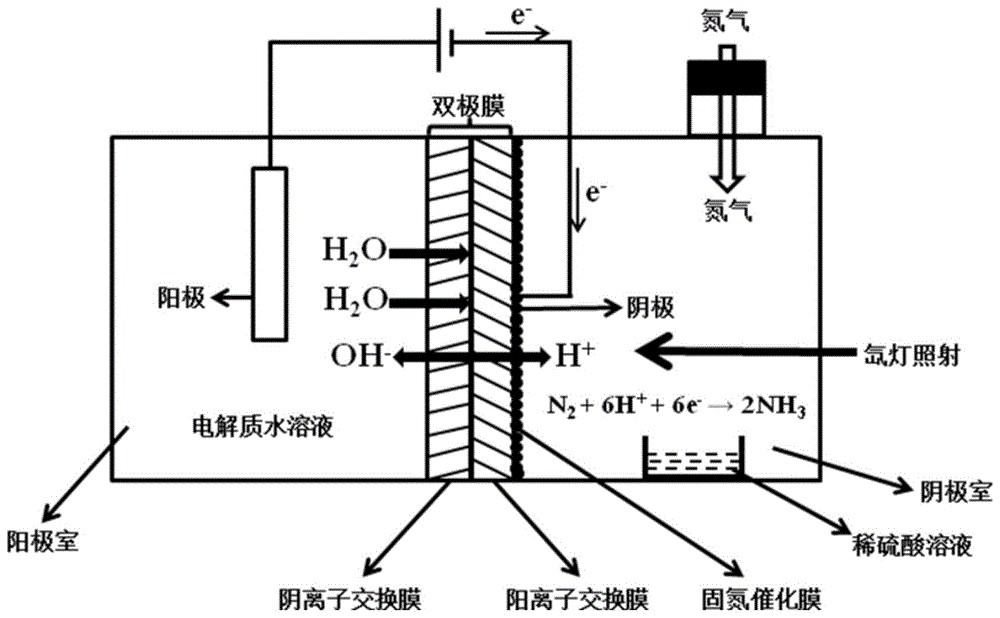 一种光电催化固氮合成氨的装置及方法与流程