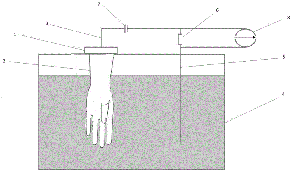 一种聚合物手套孔缝检测装置的制作方法