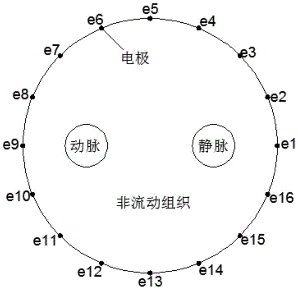 基于CNN和多电极电磁测量的动静脉图像重建方法与流程