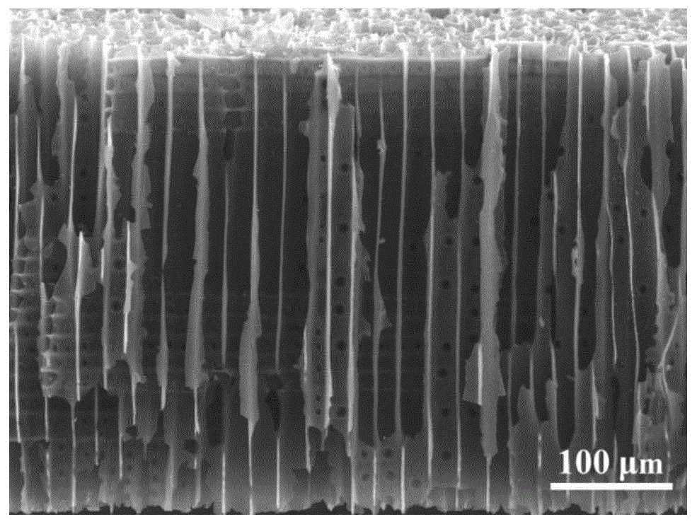基于碳纳米管和二氧化锰的杉木碳片的电极材料、制备方法和超级电容器与流程