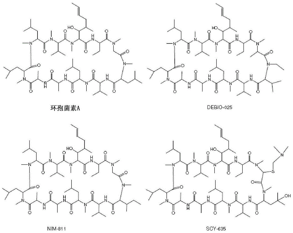 sanglifehrin大环类似物作为抗癌化合物的用途的制作方法