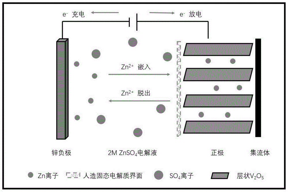 一种用于水系锌电池的固态电解质层的制备方法与流程