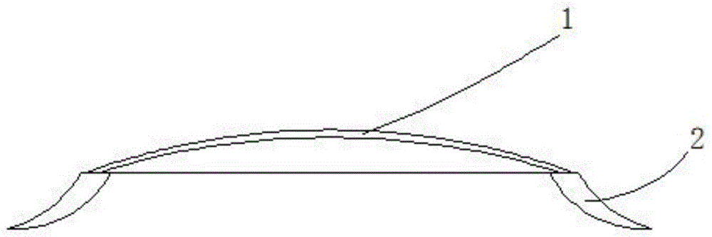 一种矫正真空吸盘的制作方法