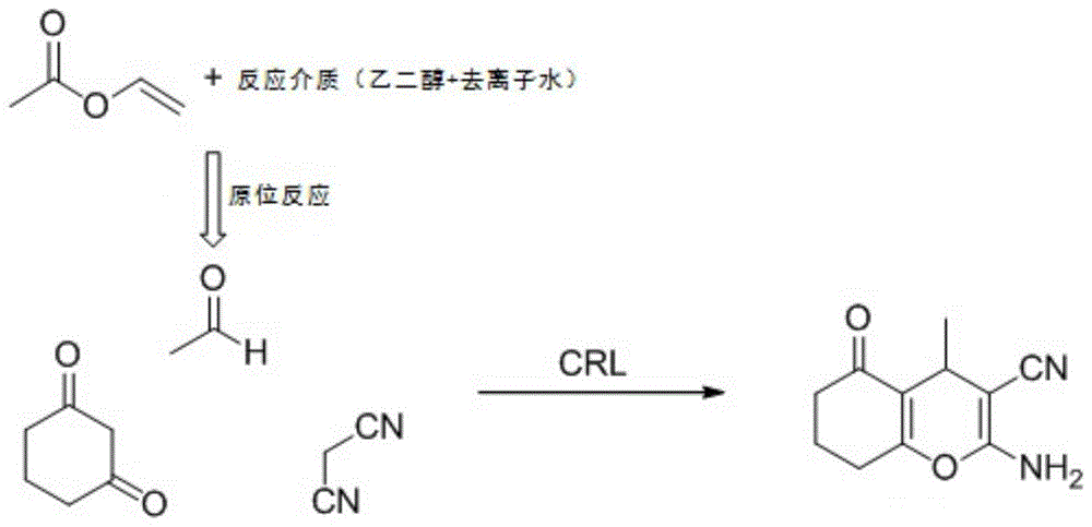 一种2-氨基-4H-吡喃及其衍生物的合成方法与流程