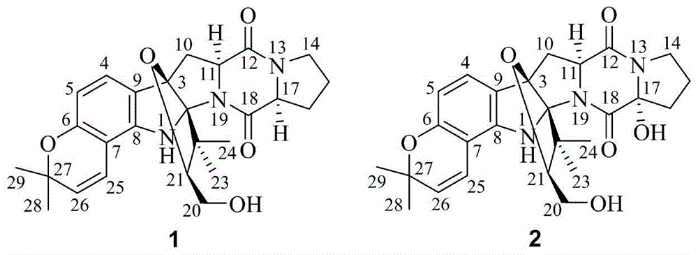 一种吲哚二酮哌嗪类生物碱及其制备方法和用途与流程