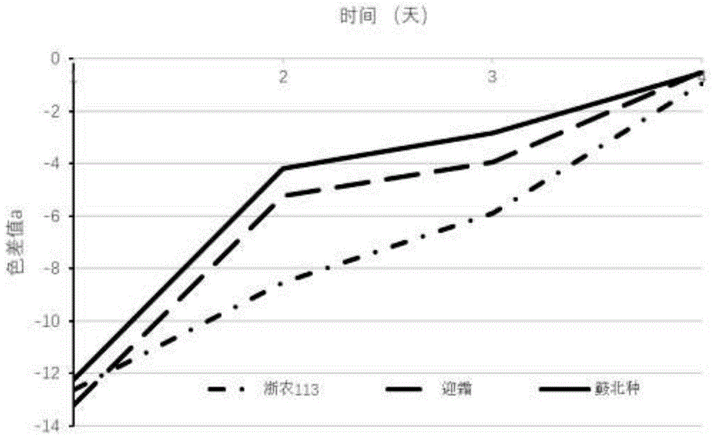 茶树品种耐寒力的鉴定方法与流程