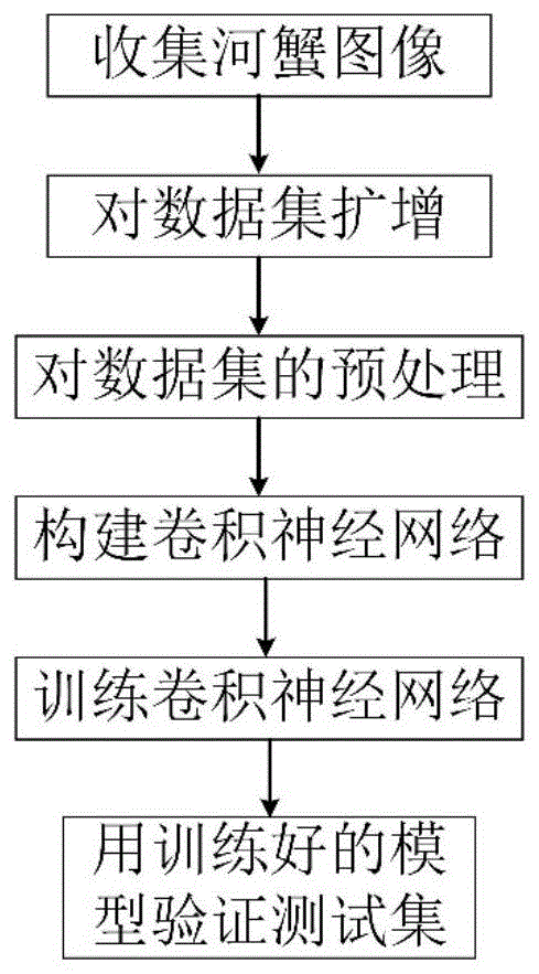 基于卷积神经网络的河蟹雌雄识别方法与流程