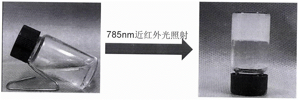 一种宫腔黏连治疗的丝素蛋白水凝胶的制作方法