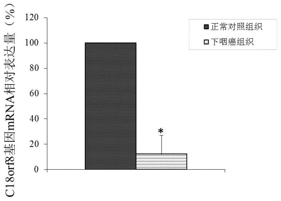 C18orf8基因及其表达产物作为下咽癌的诊治靶标的制作方法