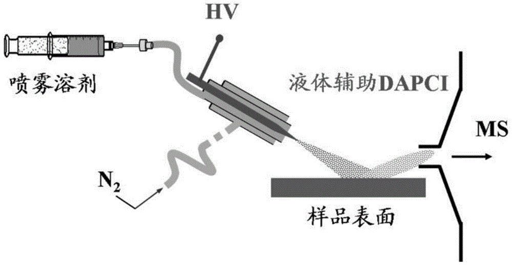 利用直接质谱成像技术判别莲子新陈度的方法与流程