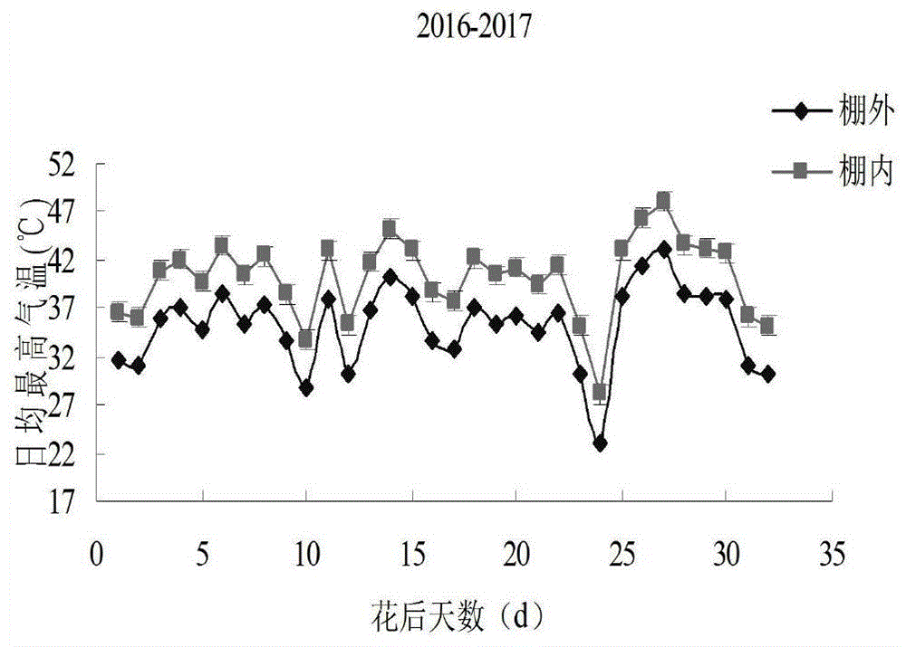 一种冬小麦耐热性快速鉴定的方法与流程