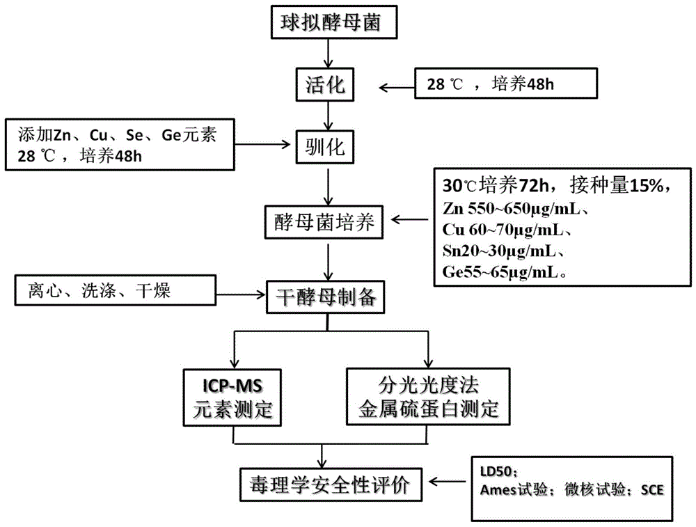 一种抗氧化活性酵母菌的制备方法及其产品和应用与流程