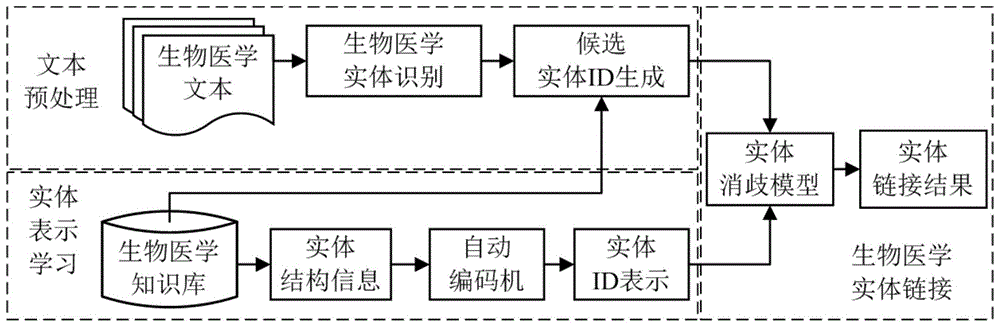 一种基于知识表示的生物医学实体链接方法与流程