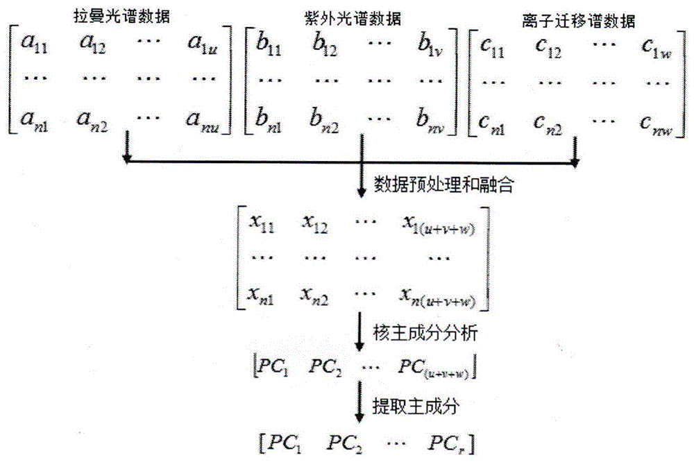 一种基于多谱图信息融合技术的中草药品质鉴别方法与流程