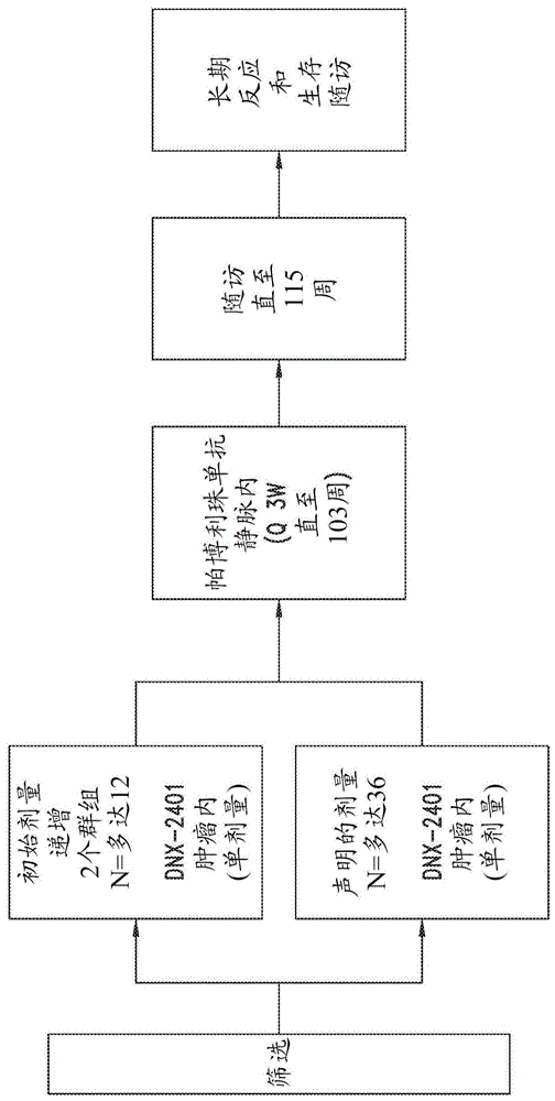 用于治疗脑癌的组合疗法的制作方法