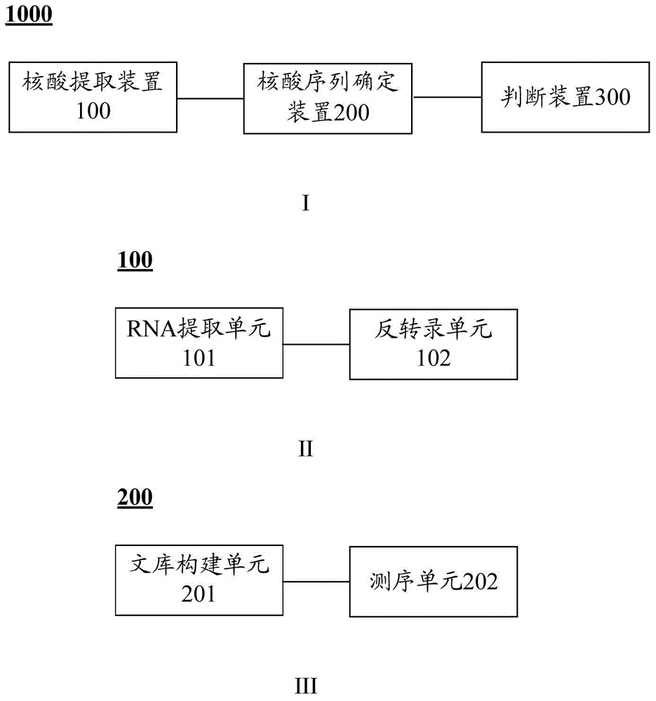 VPS13B基因突变体及其应用的制作方法