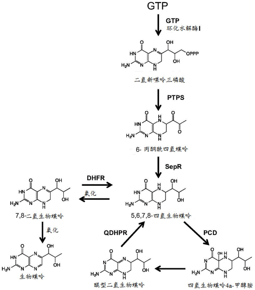 产生去甲阿片类和NAL-阿片类苄基异喹啉生物碱的方法与流程