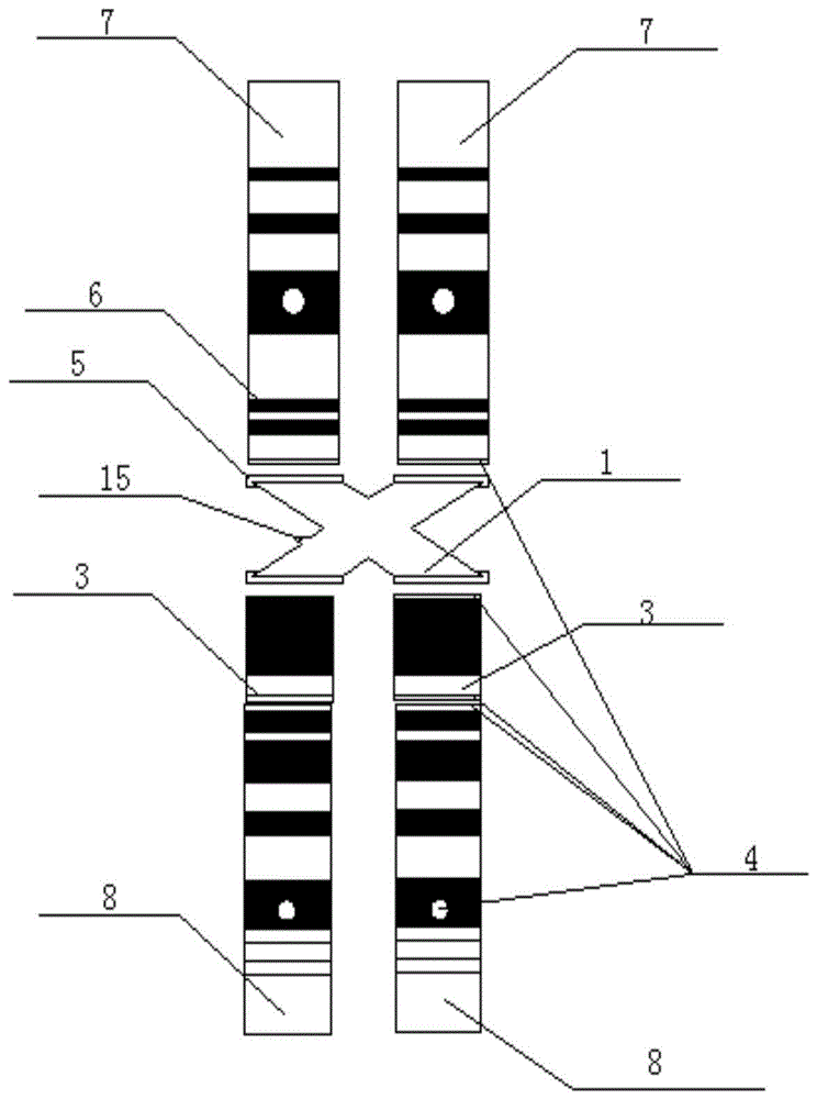 一种用于展示染色体结构畸变的模型教具的制作方法