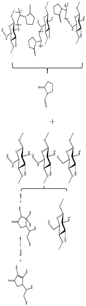 一种N-乙烯基吡咯烷酮接枝壳聚糖的制备方法与流程