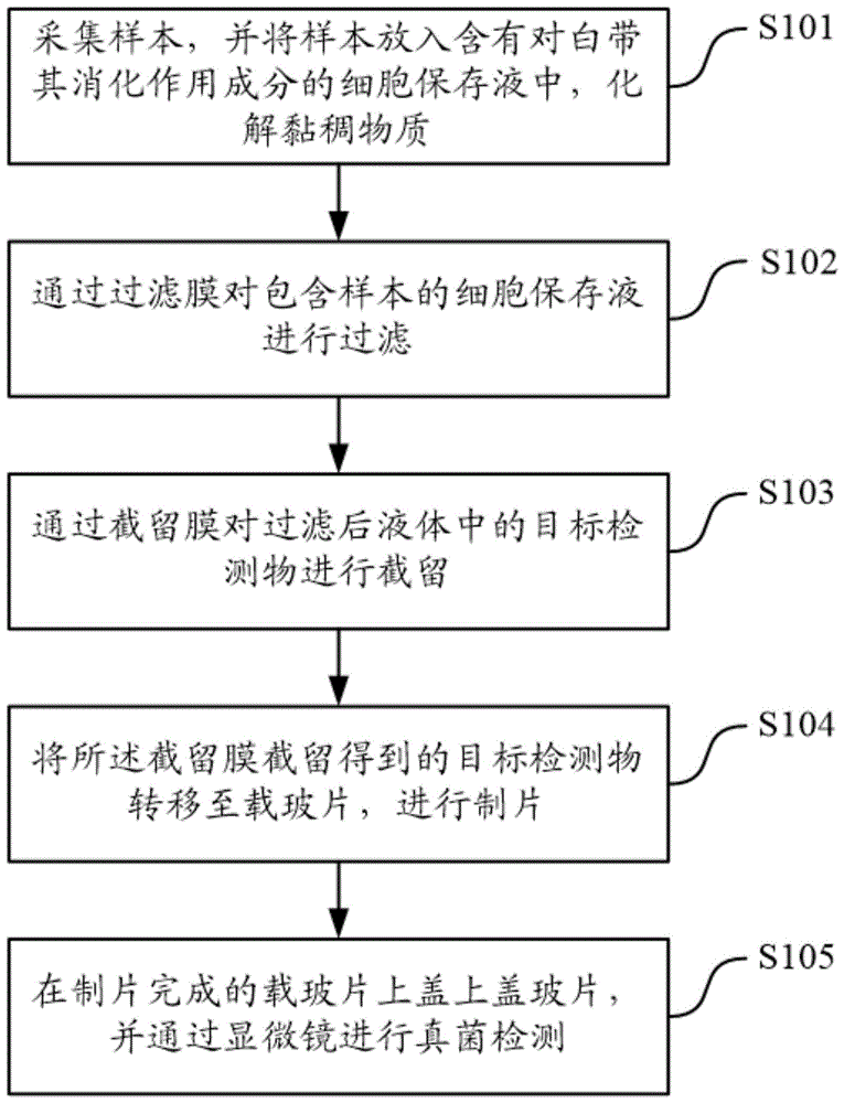 一种基于液基制片技术的真菌检测方法与流程