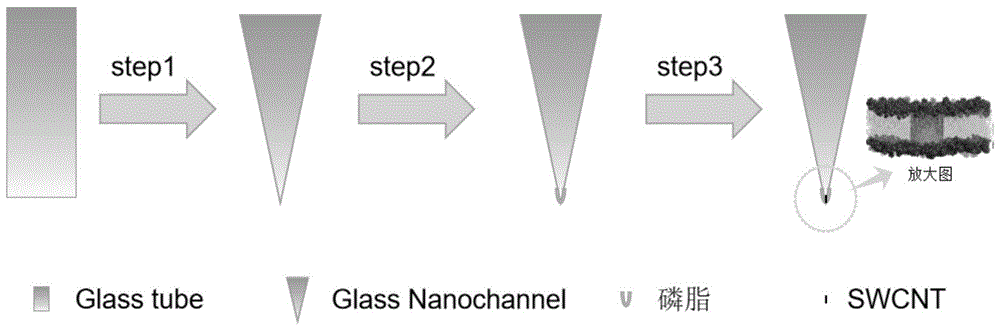 复合玻璃纳米孔道的制备及应用于生物分子检测的制作方法