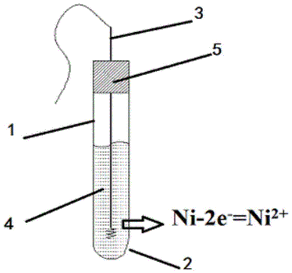 一种氟化物熔盐用Ni/NiF2参比电极及其制备方法与流程