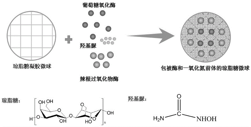 复合琼脂糖微球及其制备方法和应用与流程