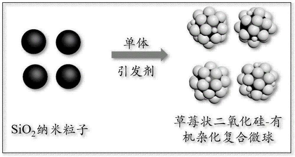 一种可调控的草莓状二氧化硅-有机杂化复合微球的制备方法与流程