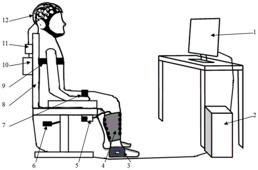 一种基于脑机接口的触觉反馈踝关节功能训练系统的制作方法