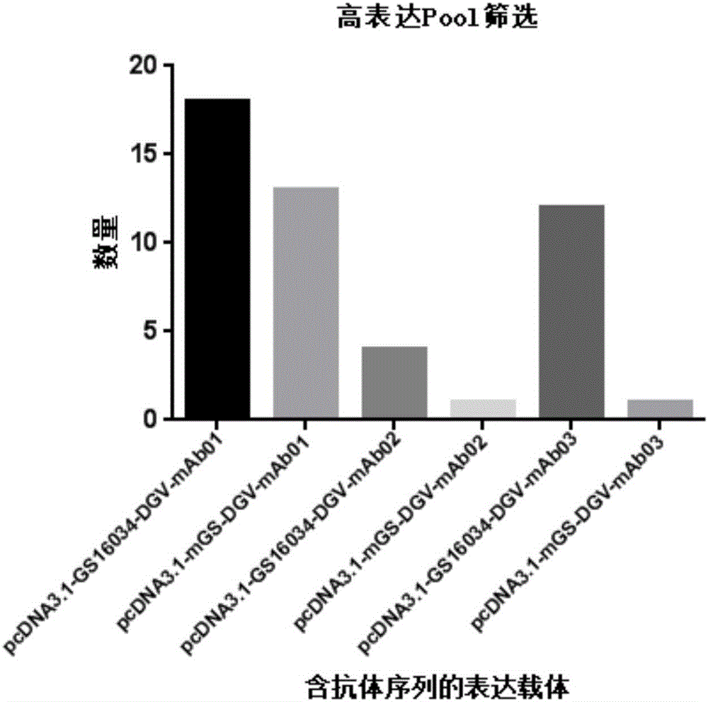 谷氨酰胺合成酶基因以及应用的制作方法