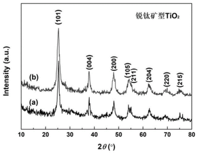 一种光催化降解罗丹明B的TiO2光催化剂及其制备方法与流程