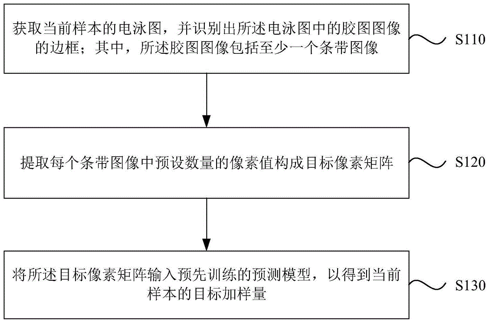 电泳图的识别方法、装置、设备及存储介质与流程