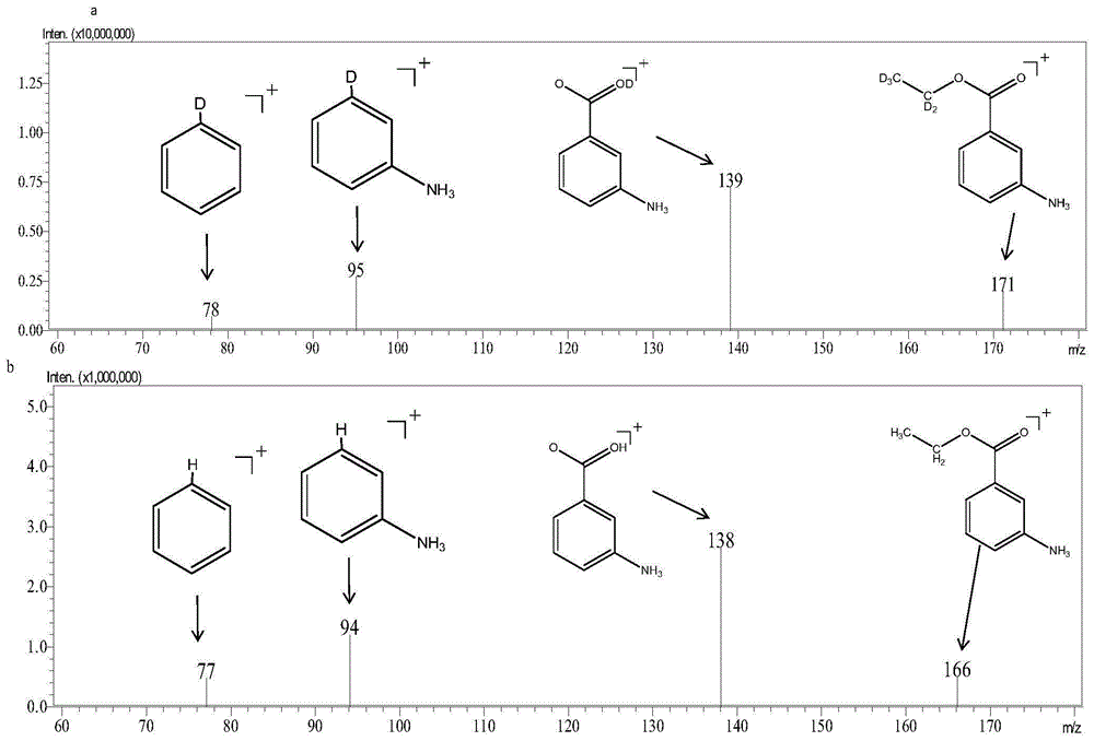 稳定同位素标记3 氨基苯甲酸乙酯 D5及其制备方法与流程 2