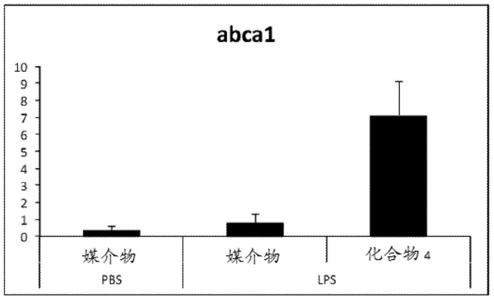 肝脏X受体（LXR）调节剂的制作方法