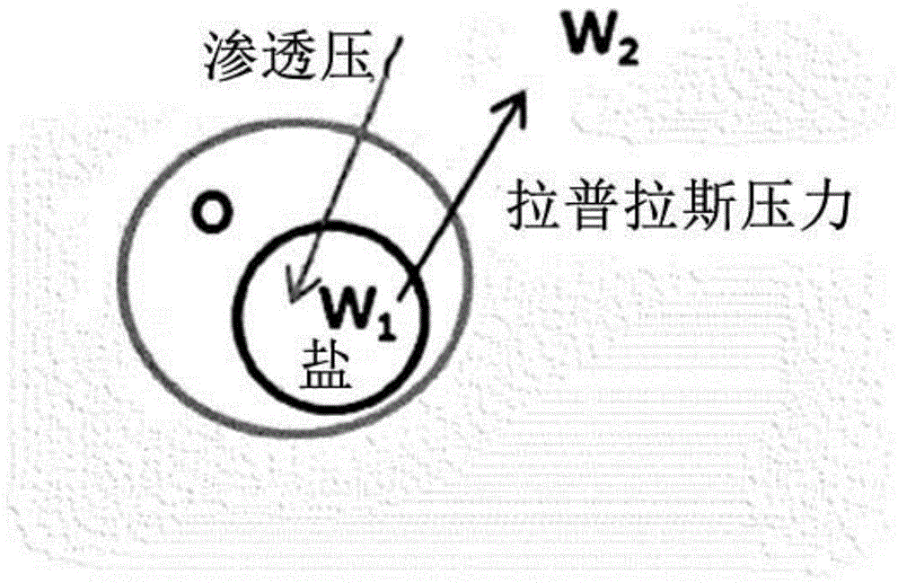 具有改善的稳定性的多重乳液组合物的制作方法