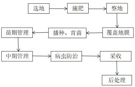 一种黄土旱塬甘露子的轻简高效栽培方法与流程