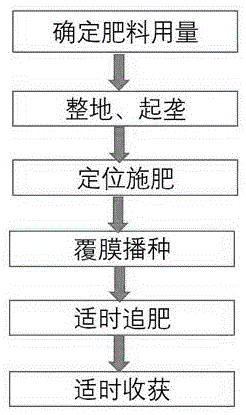 一种提高旱地玉米磷肥利用效率的方法与流程