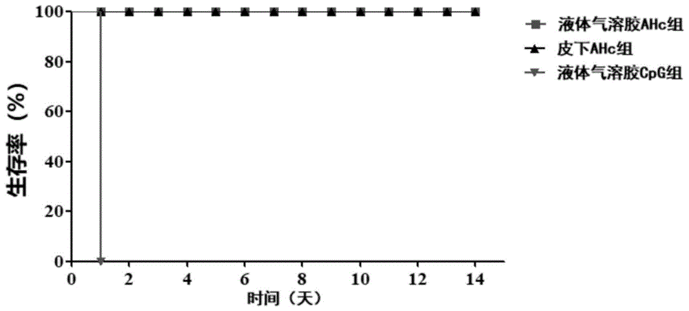 肉毒毒素AHc疫苗液体气溶胶肺递送免疫小鼠模型的制作方法