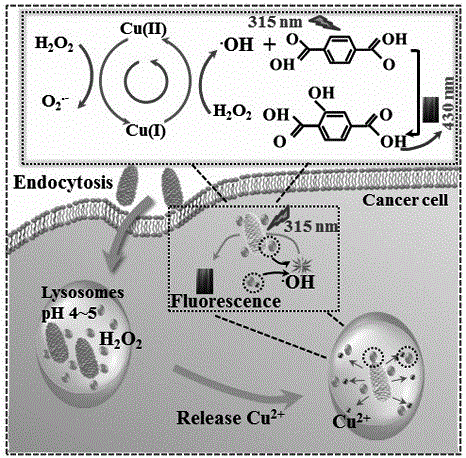 一种铜-对苯二甲酸纳米粒子、其制备方法及应用与流程