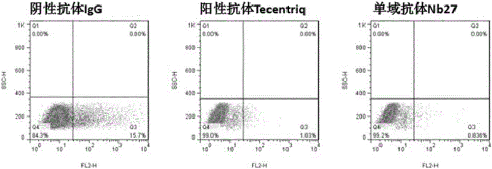 阻断型pdl1驼源单域抗体及其用途的制作方法