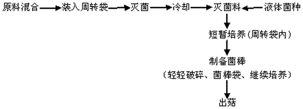 一种利用绣球菌液体菌种和周转袋制备栽培菌棒的方法与流程